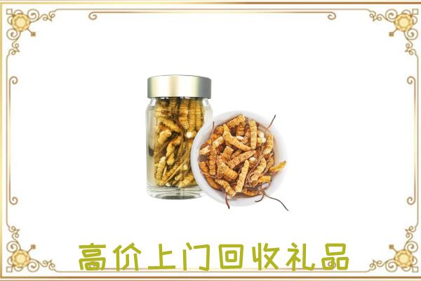 新疆周边回收虫草